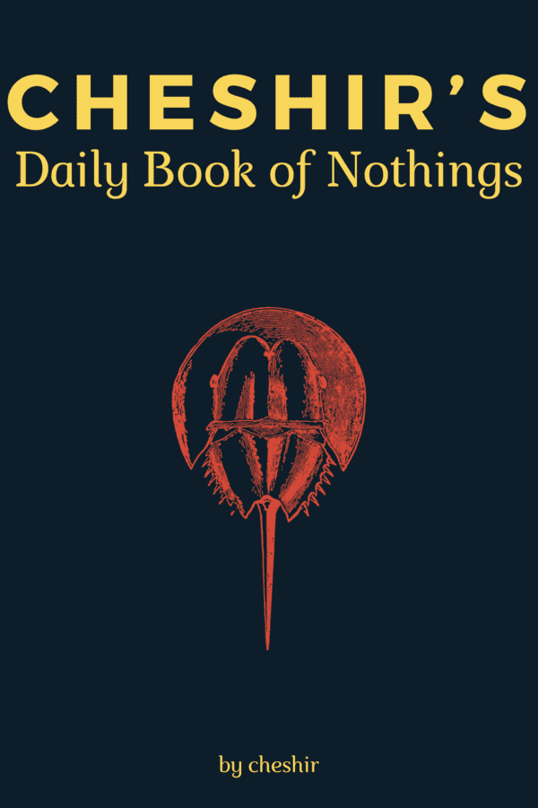 Cover of Cheshir’s Daily Book of Nothings