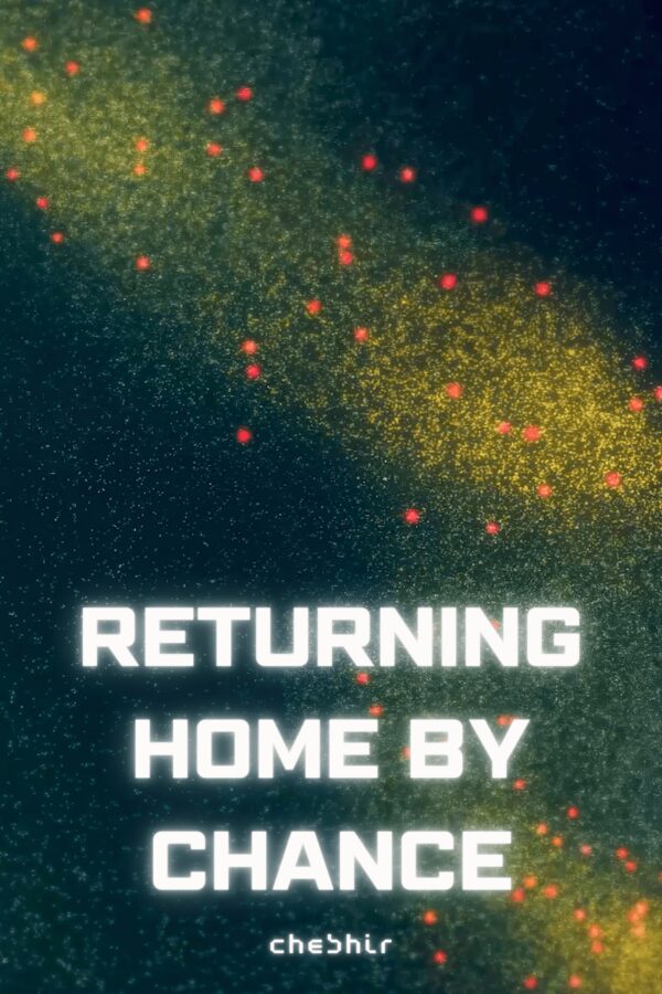 Cover of Returning Home by Chance